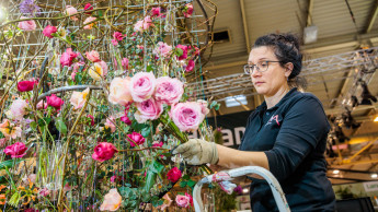 German ornamental market at pre-pandemic level