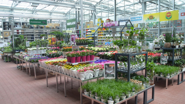 Rewe achieved 22.7 per cent sales growth with its Toom, Klee and B1 distribution lines. Rewe achieved 22.7 per cent sales growth with its Toom, Klee and B1 distribution lines.