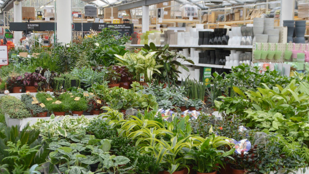 In 2019, the garden segment of the DIY stores will decline by 0.3 per cent, market researcher Klaus Peter Teipel says. In 2019, the garden segment of the DIY stores will decline by 0.3 per cent, market researcher Klaus Peter Teipel says.