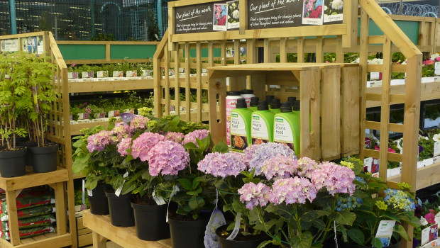 According to the Horticultural Trades Association, the market for garden plants in Great Britain reached a volume of GBP 1.424 bn in 2017. According to the Horticultural Trades Association, the market for garden plants in Great Britain reached a volume of GBP 1.424 bn in 2017.