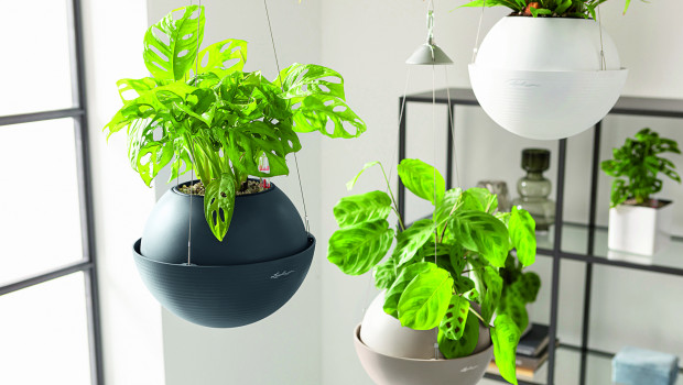 Lechuza no longer delivers its planters to Russia. Lechuza no longer delivers its planters to Russia.