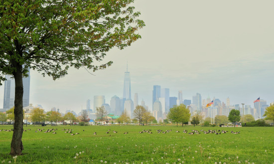 Boring green spaces in public parks will increasingly disappear. Boring green spaces in public parks will increasingly disappear.
