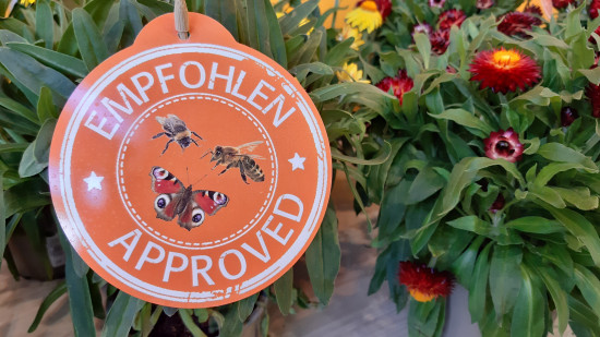 According to the trend forecast, insect-friendly plants will increasingly become the focus of consumers in the future. According to the trend forecast, insect-friendly plants will increasingly become the focus of consumers in the future.