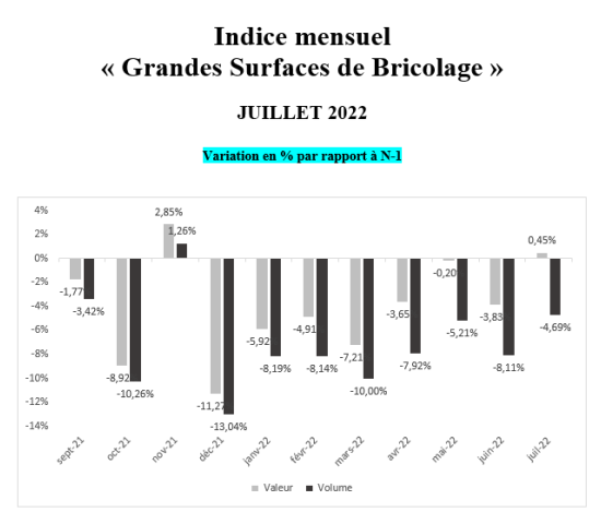 DIY stores in France: sales and volumes growth rates 2022/2021. DIY stores in France: sales and volumes growth rates 2022/2021.