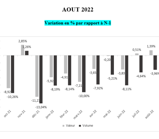 DIY stores in France: sales and volumes growth rates 2022/2021. DIY stores in France: sales and volumes growth rates 2022/2021.