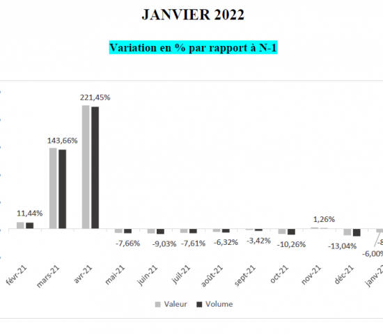 Home improvement stores in France: growth rates per month 2022/2021. Home improvement stores in France: growth rates per month 2022/2021.