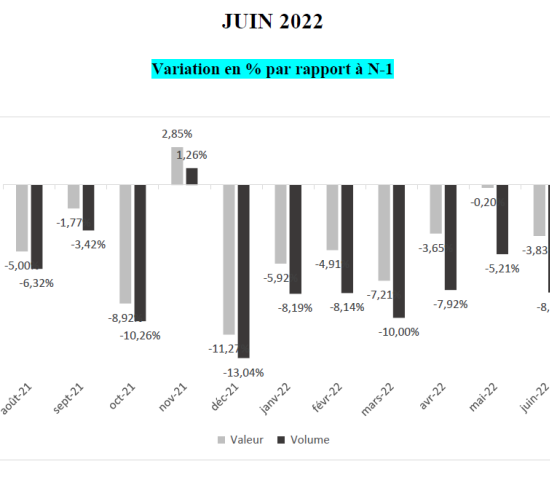 DIY stores in France: monthly change rates (sales and volume) 2022/2021. DIY stores in France: monthly change rates (sales and volume) 2022/2021.